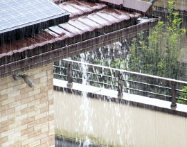 雨樋 季節ごとに点検を