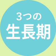3つの生長期