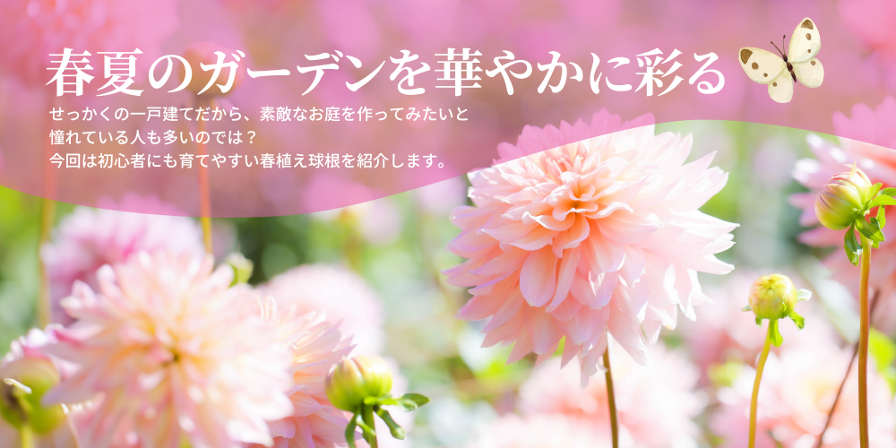 春夏のガーデンを華やかに彩る