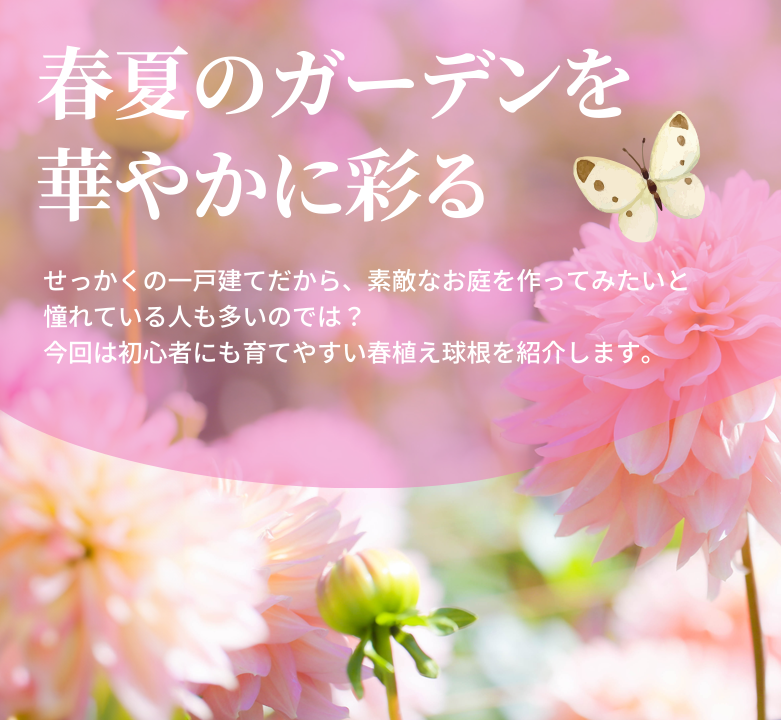 春夏のガーデンを華やかに彩る