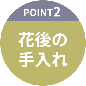 花後の手入れ