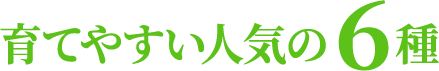 育てやすい人気の6種