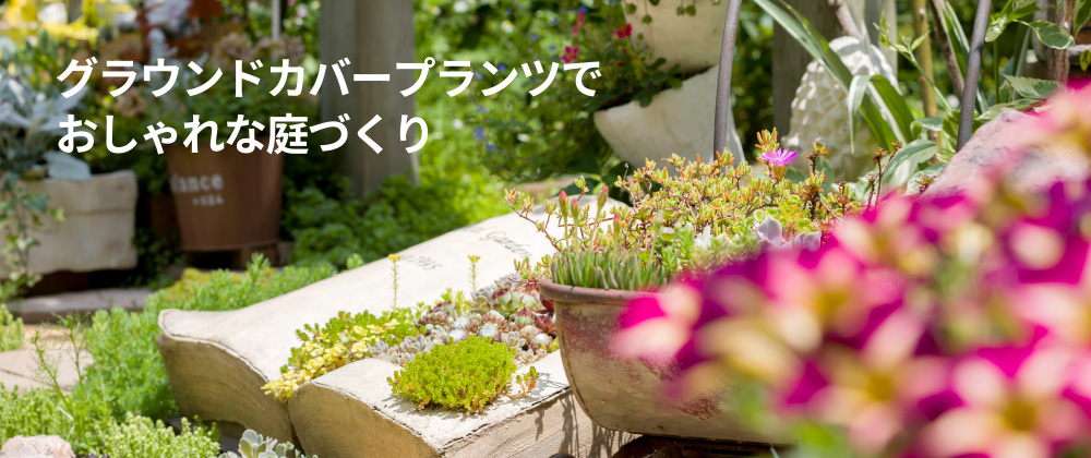 グラウンドカバープランツでおしゃれな庭づくり