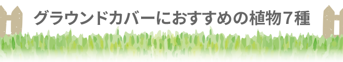 グラウンドカバーにおすすめの植物7種