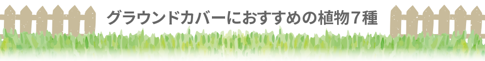 グラウンドカバーにおすすめの植物7種
