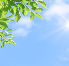 お手入れ 〈日焼け対策編〉夏の日差しから住まいを守りましょう