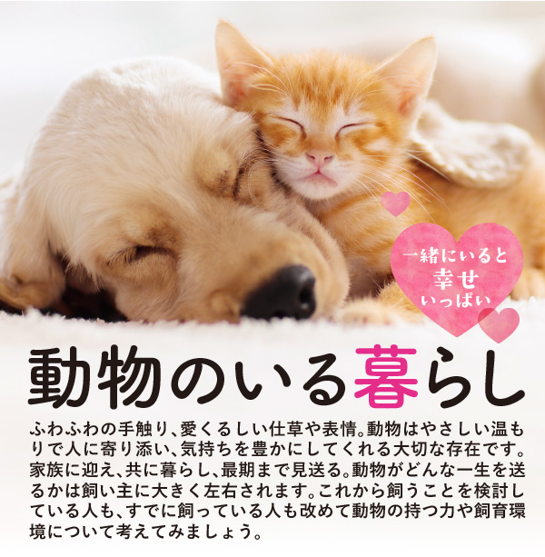 動物のいる暮らし