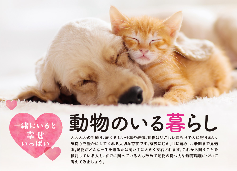 動物のいる暮らし
