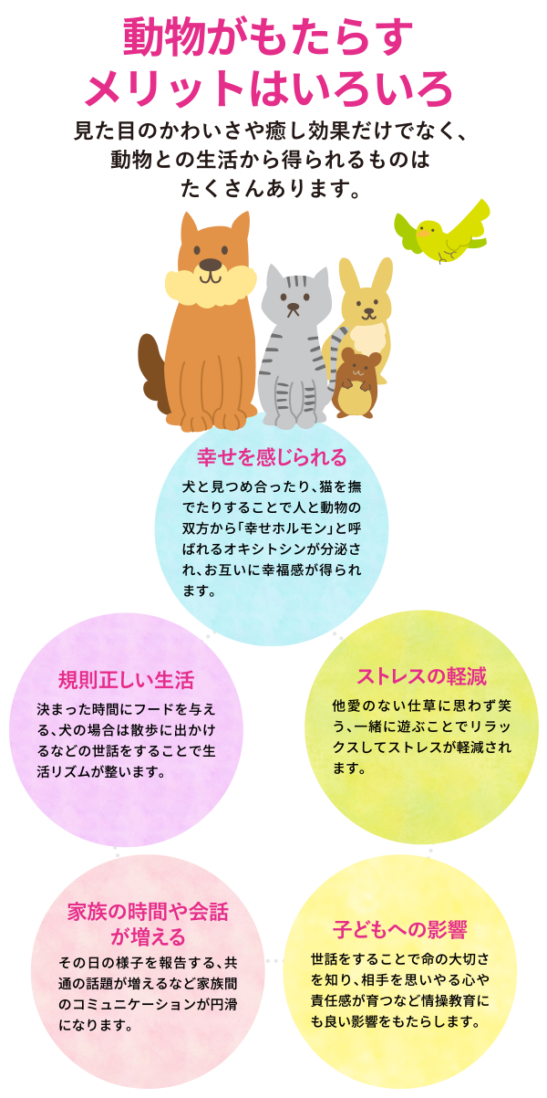 動物がもたらすメリットはいろいろ