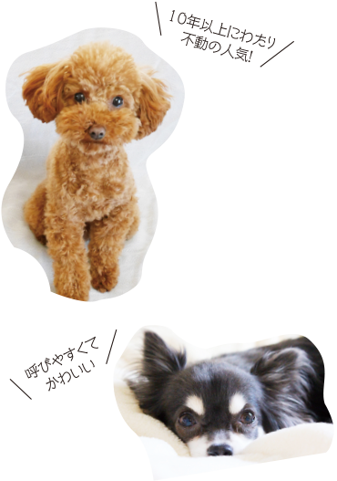 犬の品種 ランキング(全年齢)
