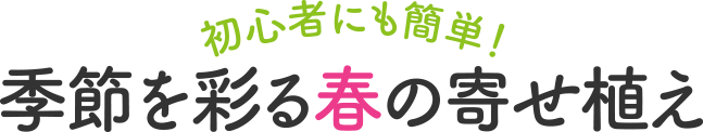 初心者にも簡単！季節を彩る春の寄せ植え
