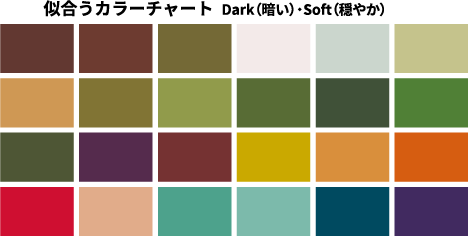 似合うカラーチャート Dark(暗い)・Soft(穏やか)