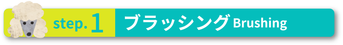 step.1 ブラッシングBrushing