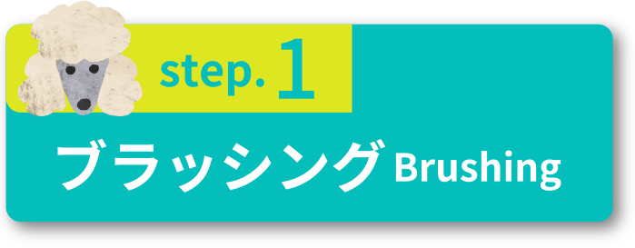 step.1 ブラッシングBrushing
