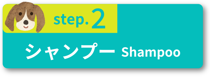 step.2 シャンプーShampoo