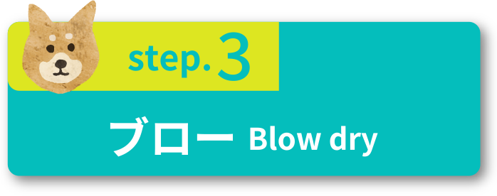 step.3 ブローBlow dry