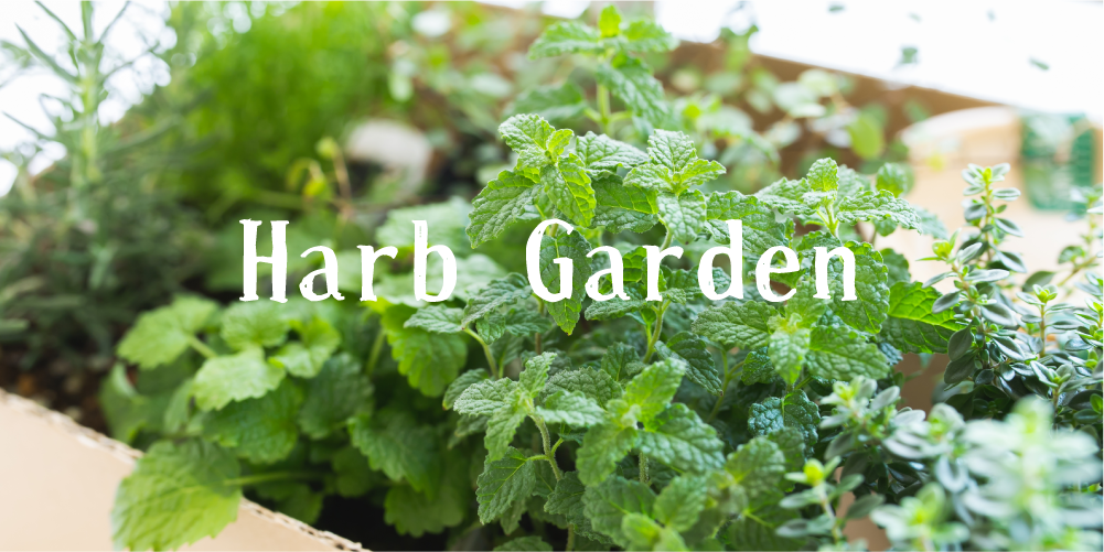 ハーブガーデンを作ろう