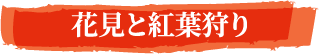 花見と紅葉狩り
