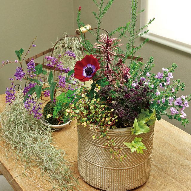季節を彩る春の寄せ植え
