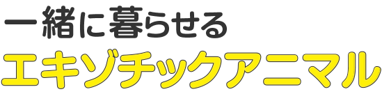 一緒に暮らせる エキゾチックアニマル
