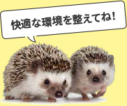 エキゾチックアニマルと暮らすには…