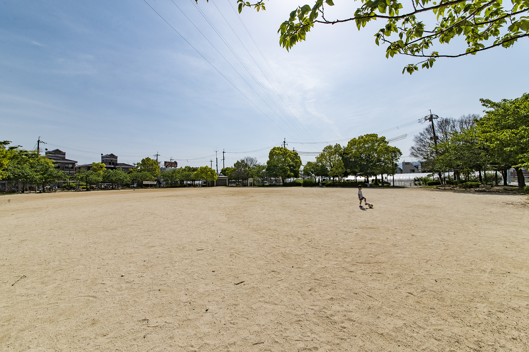 あらきの森公園（約140m）