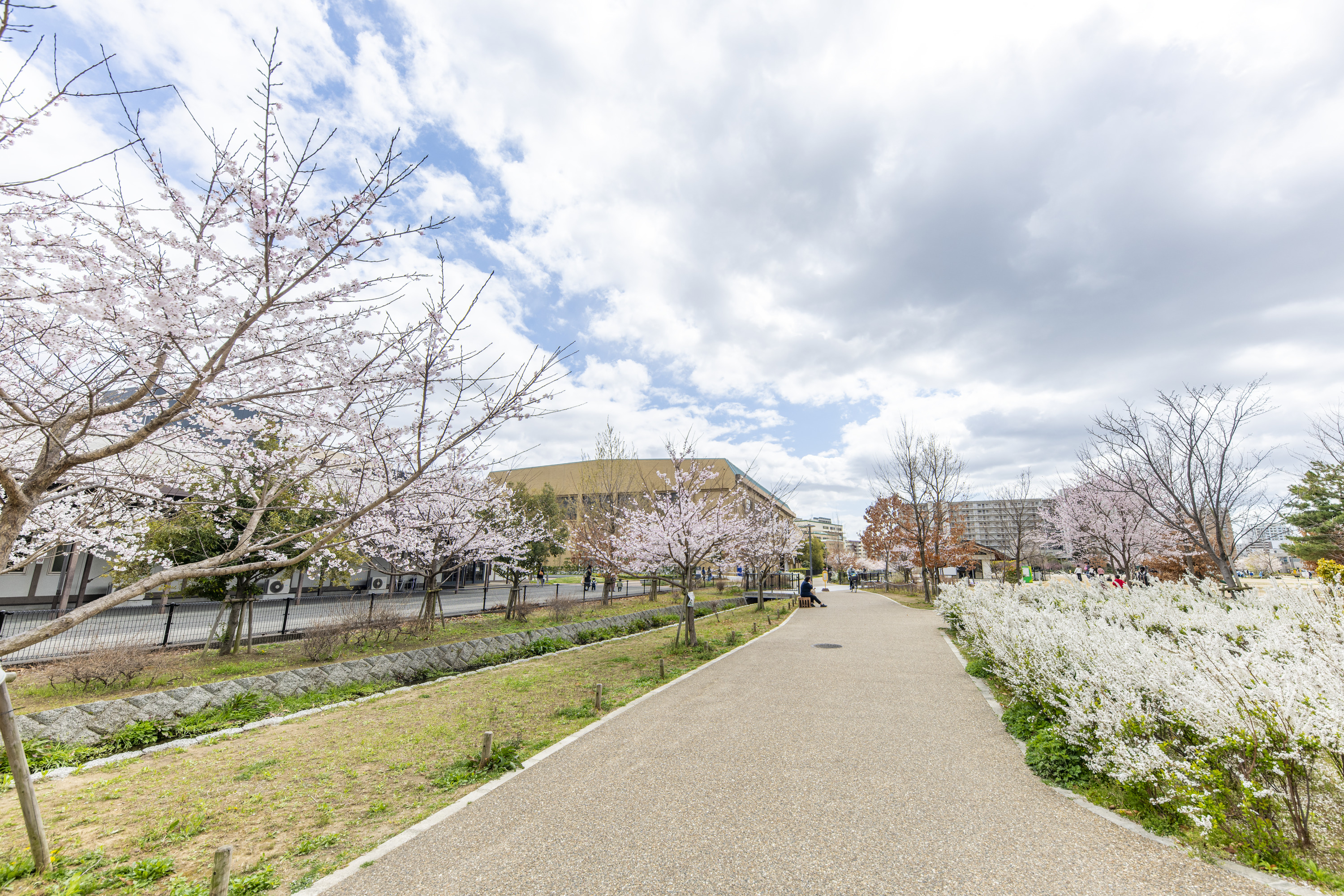 キセラ川西せせらぎ公園（約500m）