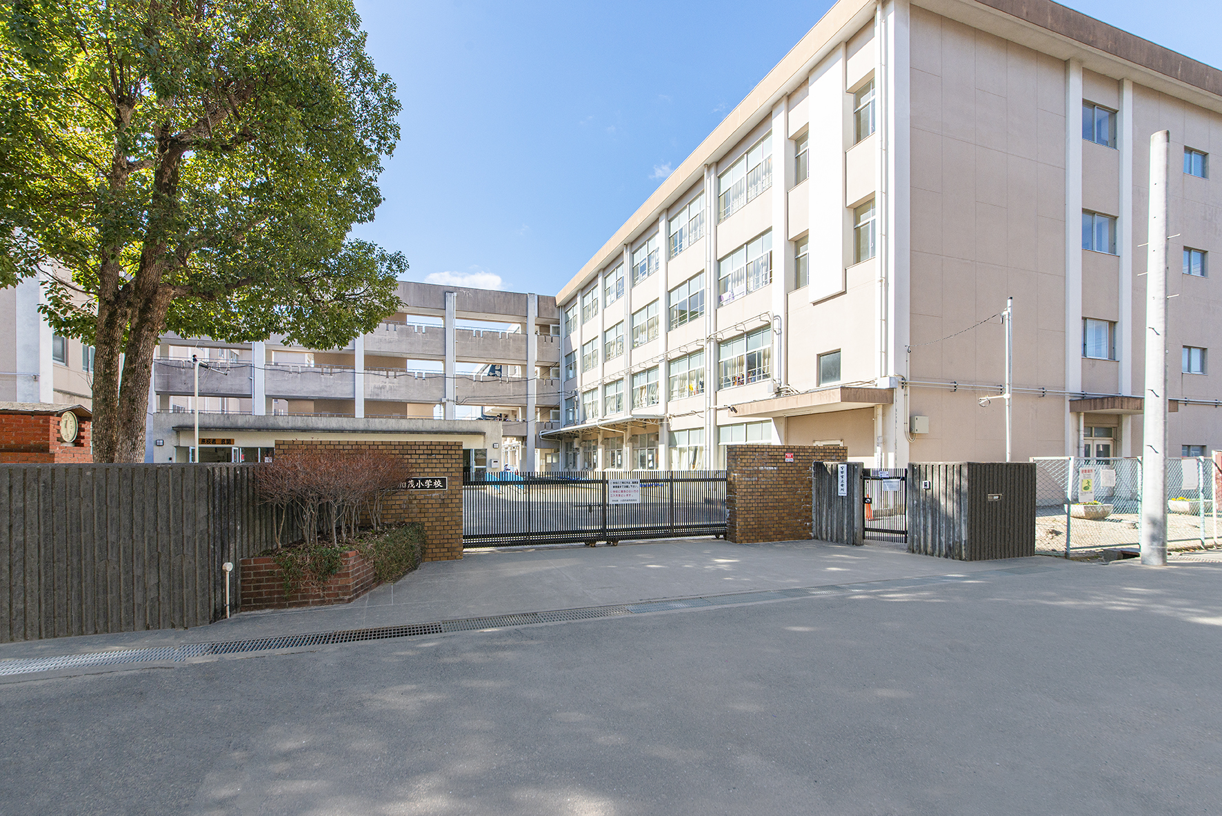 加茂小学校（約900m）