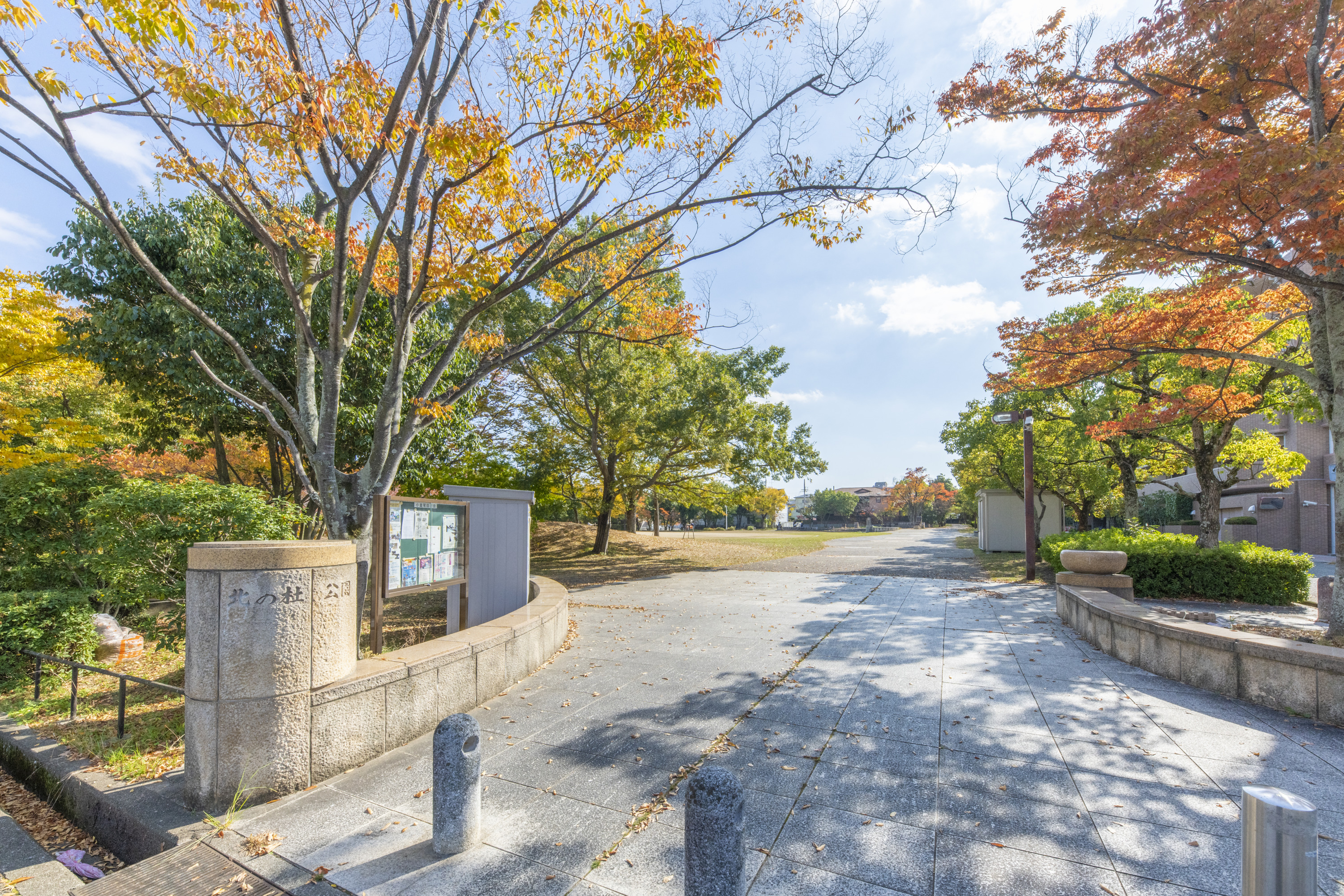 北の杜公園（約300m）