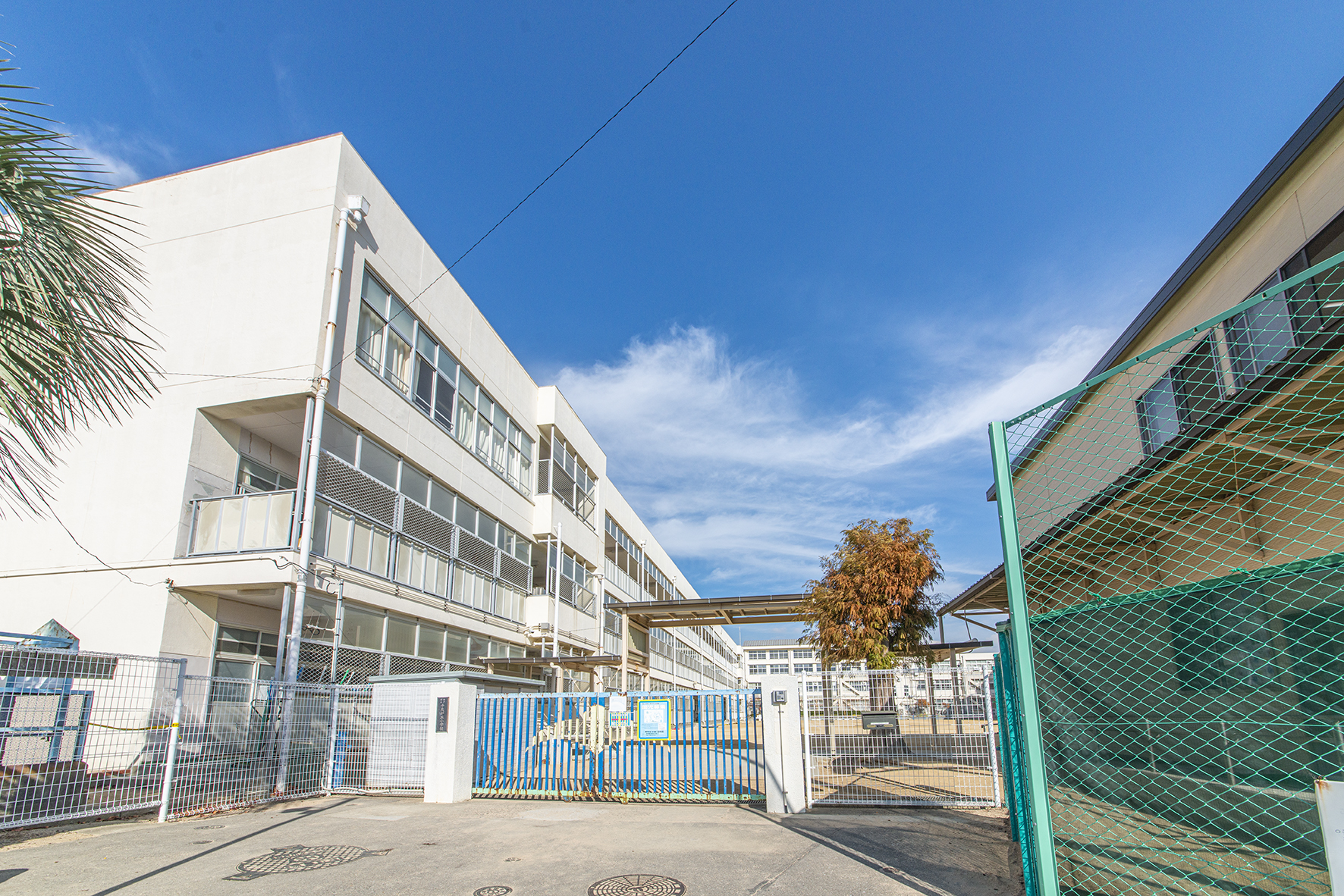 千鳥が丘小学校（約190ｍ～300ｍ）