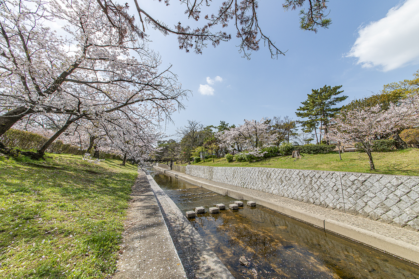 【予告広告】スマイルタウン夙川川添町
