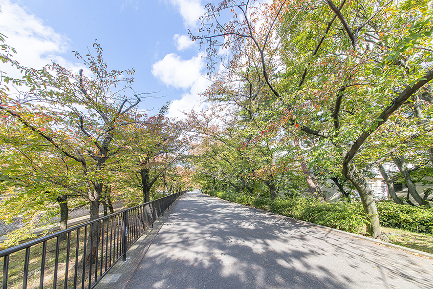 夙川公園（約450m）