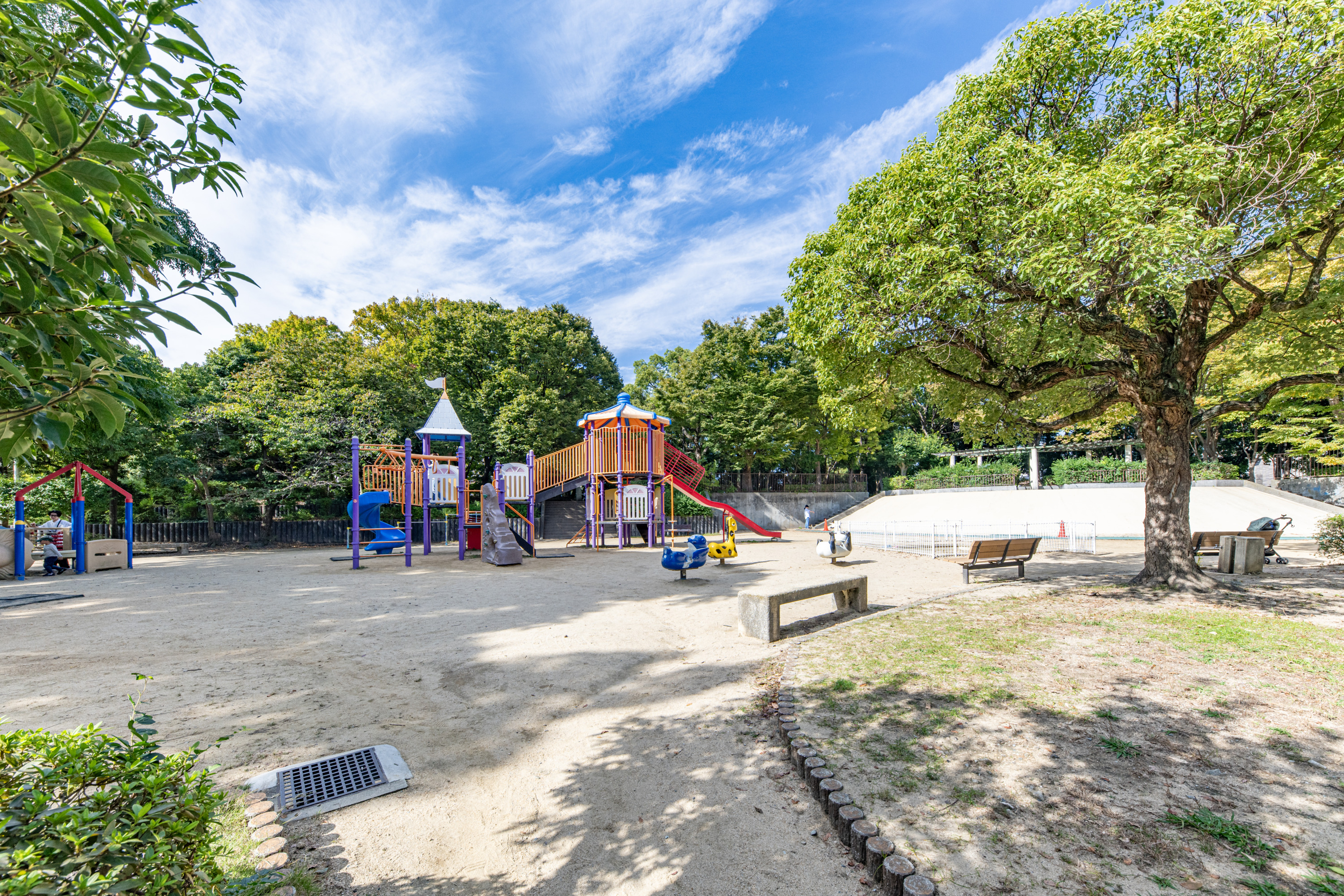 大井戸公園（約20m）