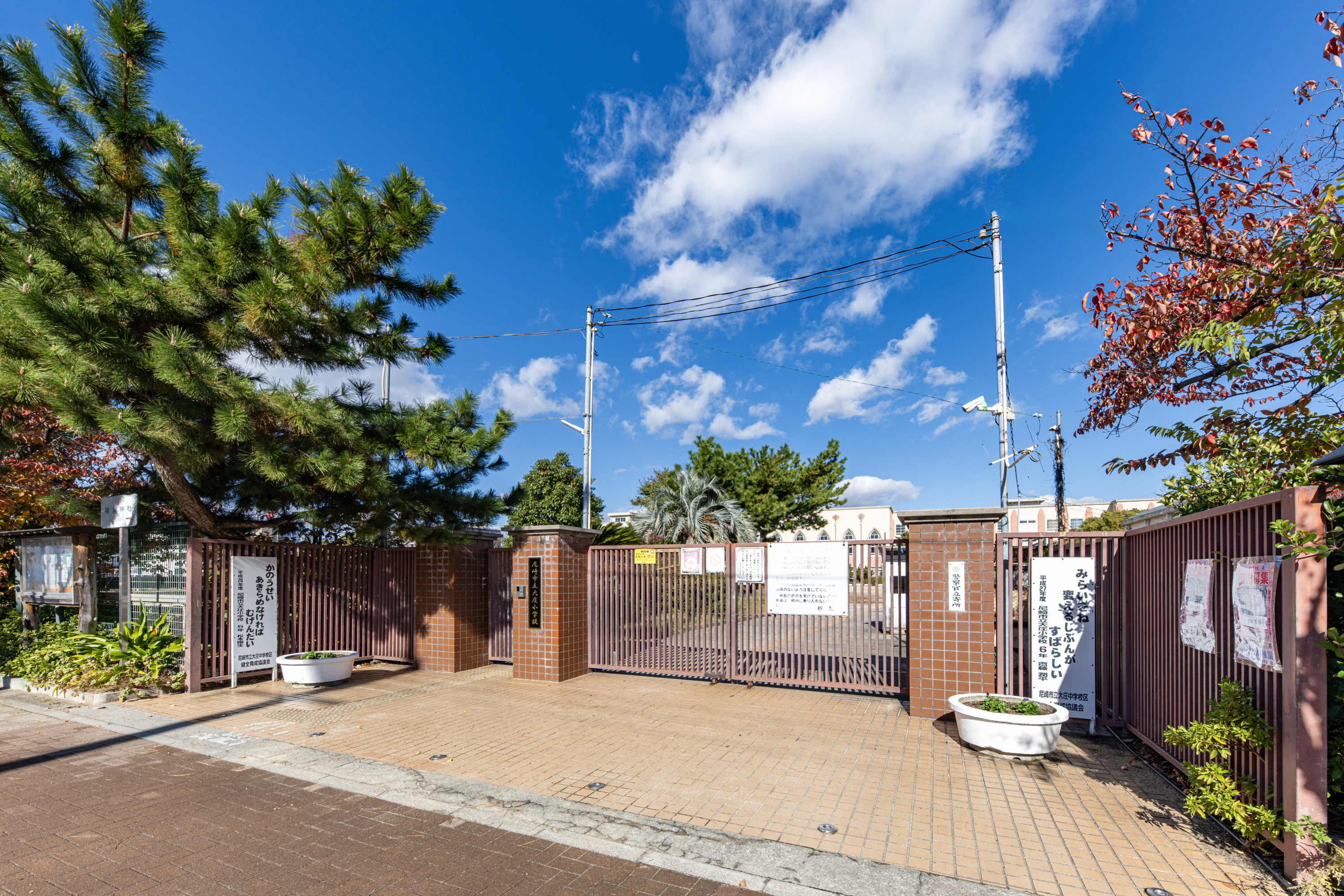 大庄小学校（約50m）