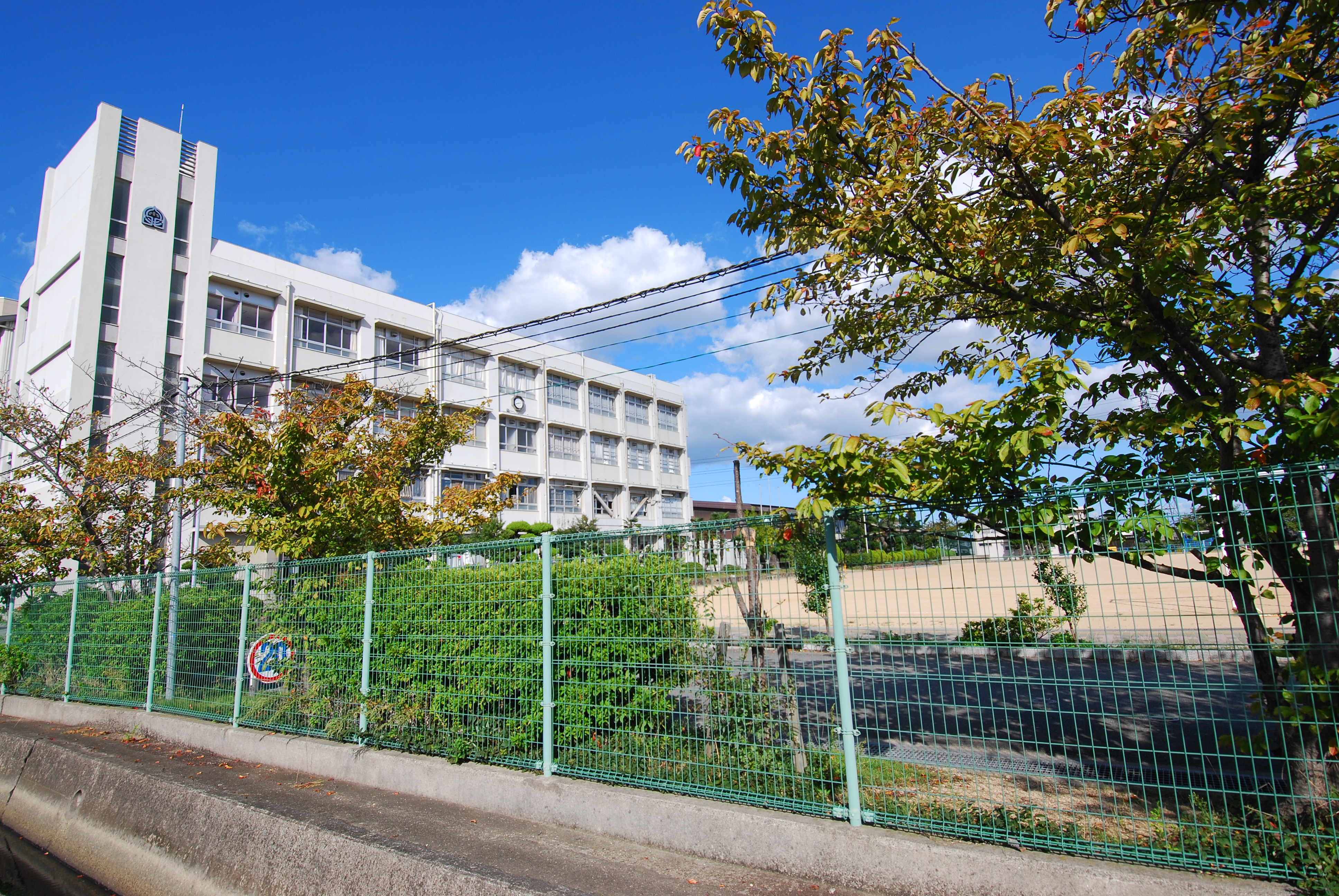 大津茂小学校