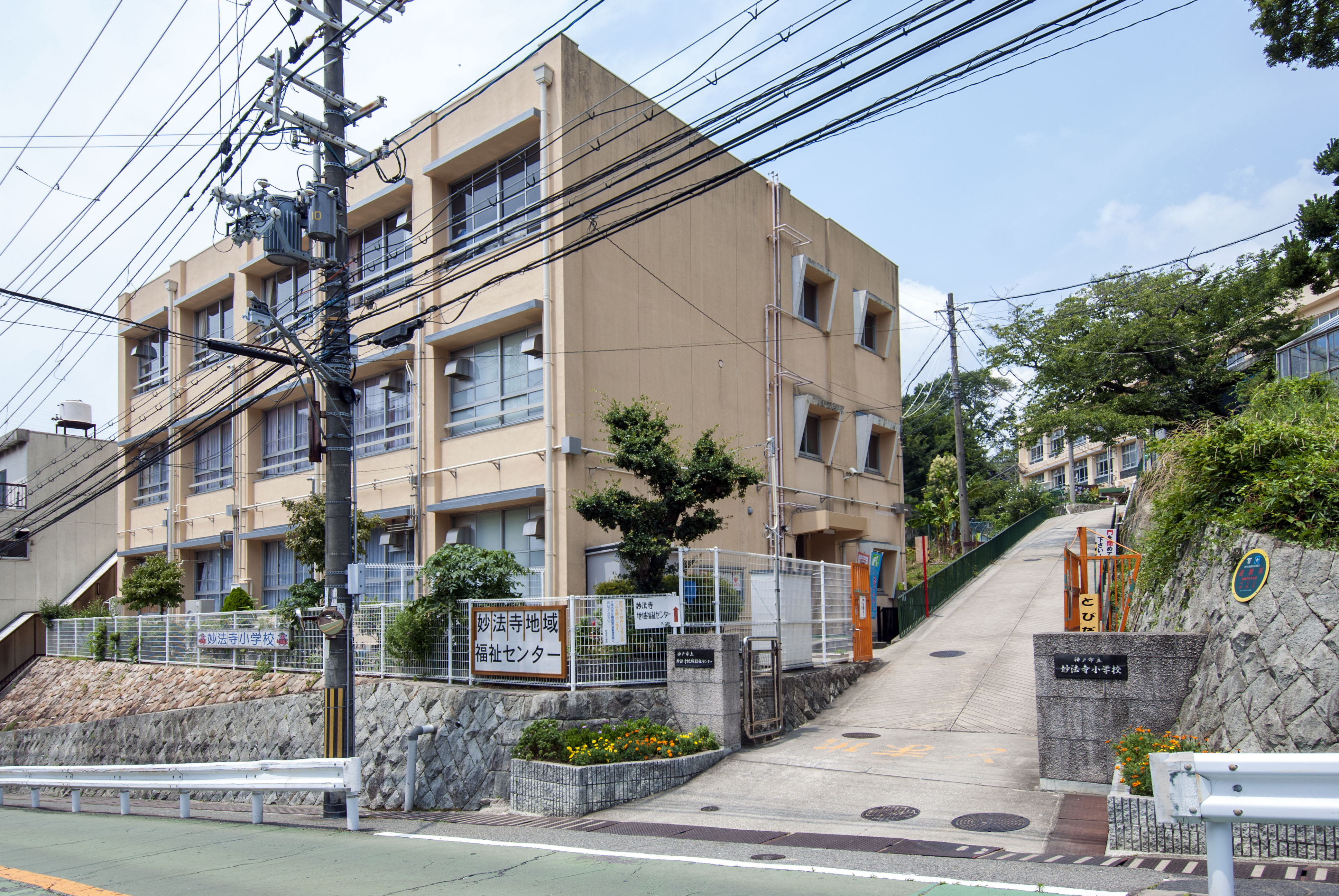 妙法寺小学校 （約900m）