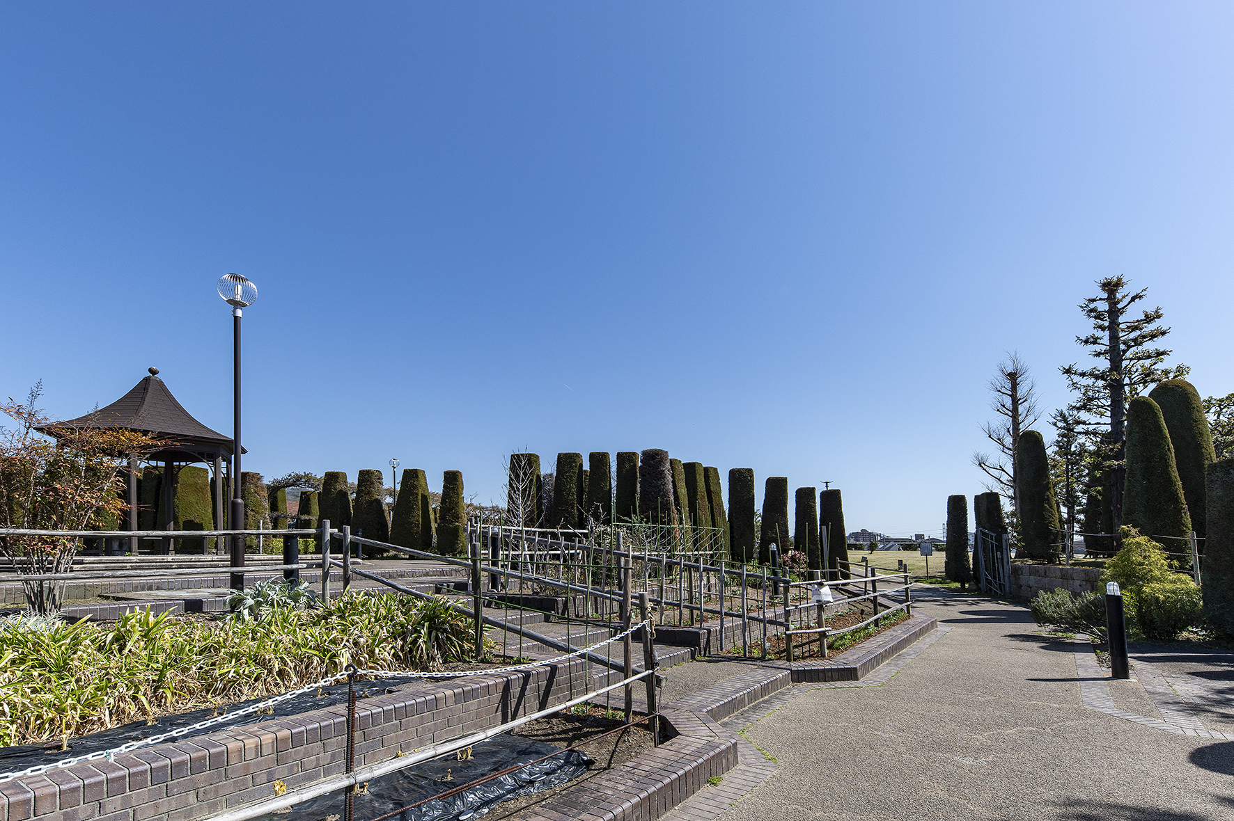 山本新池公園（約700m）