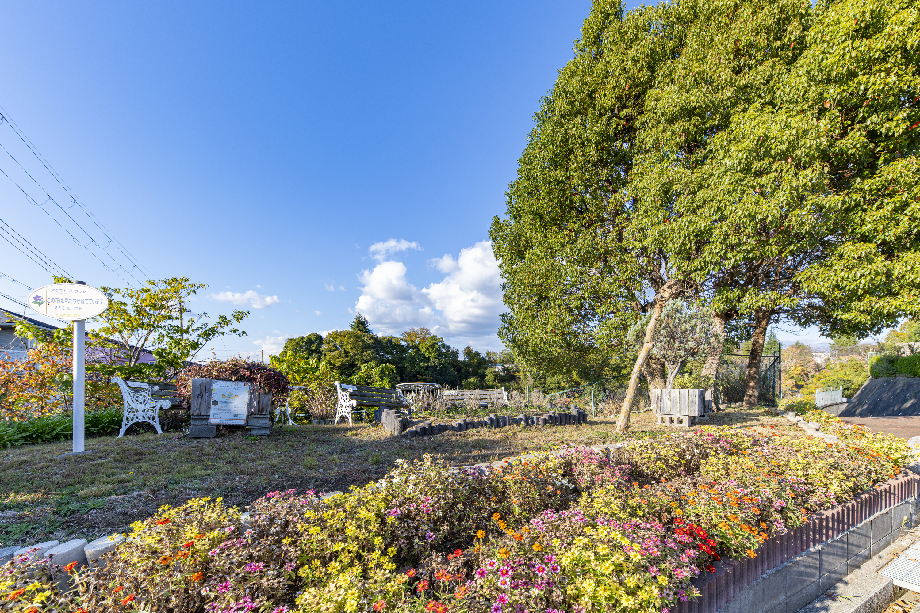 平木谷公園（約800m）