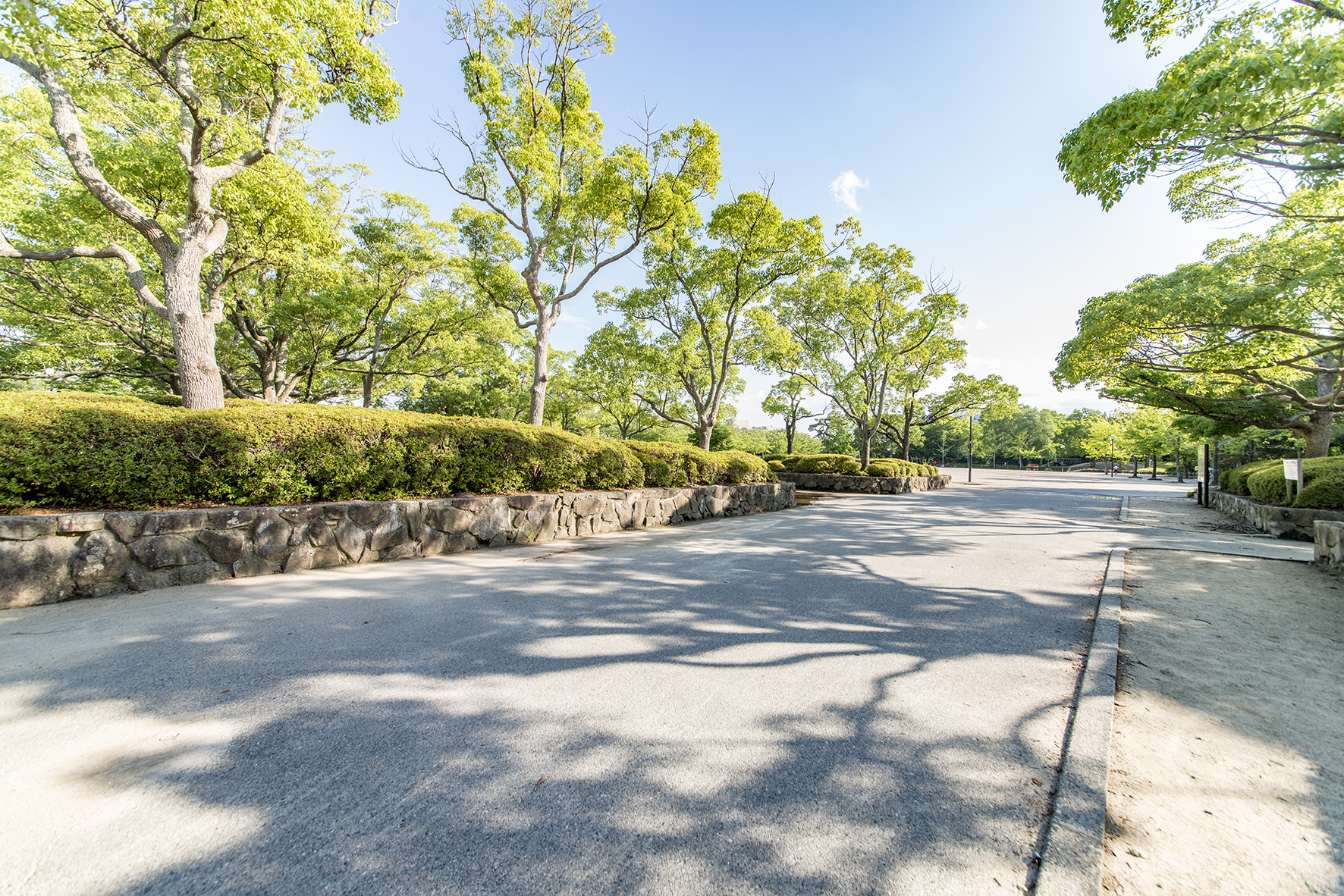 昆陽池公園（約1400m）