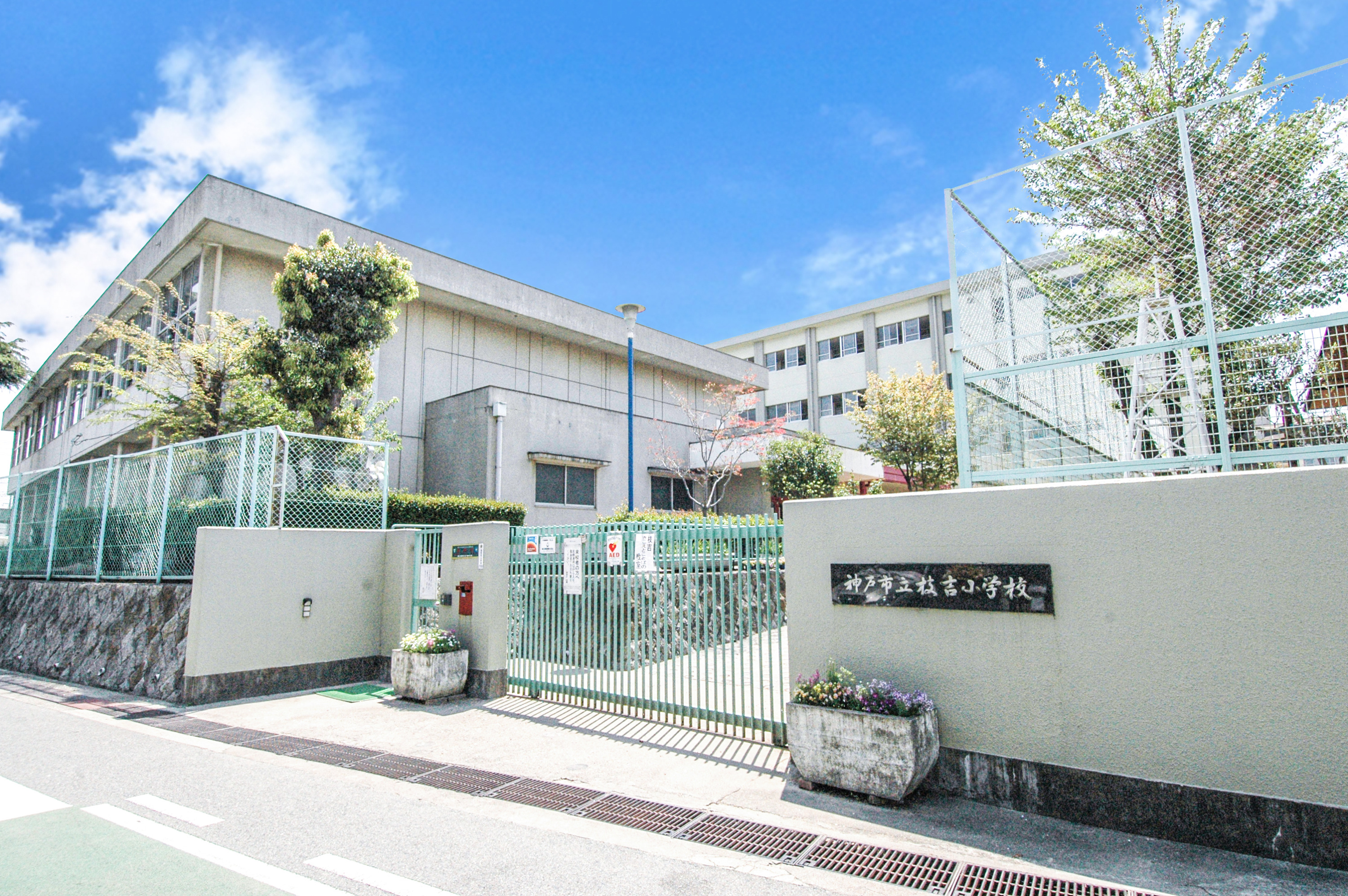 枝吉小学校　徒歩約7分