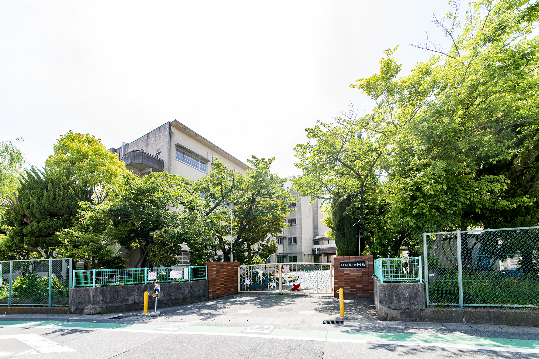 樋ノ口小学校（約350m）