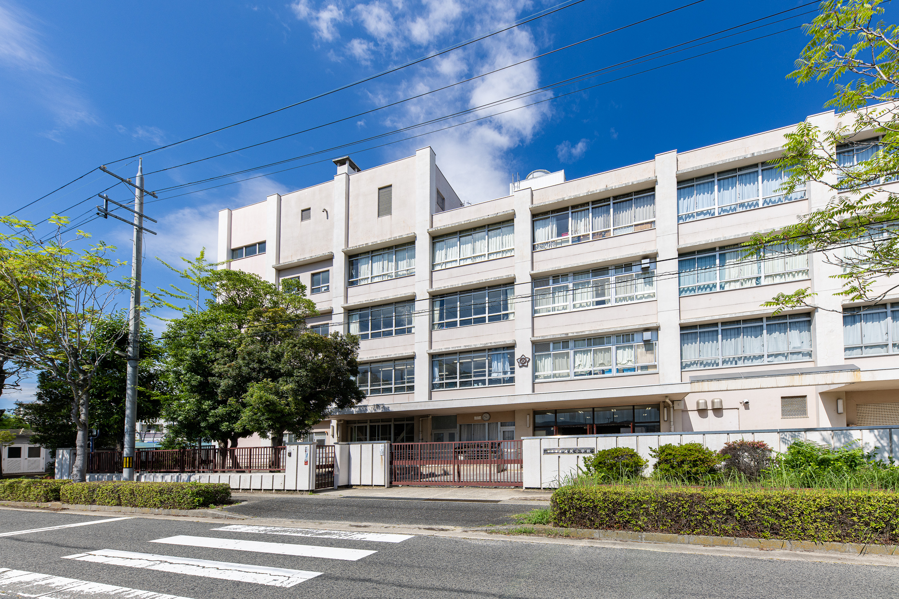 池尻小学校（約800m）