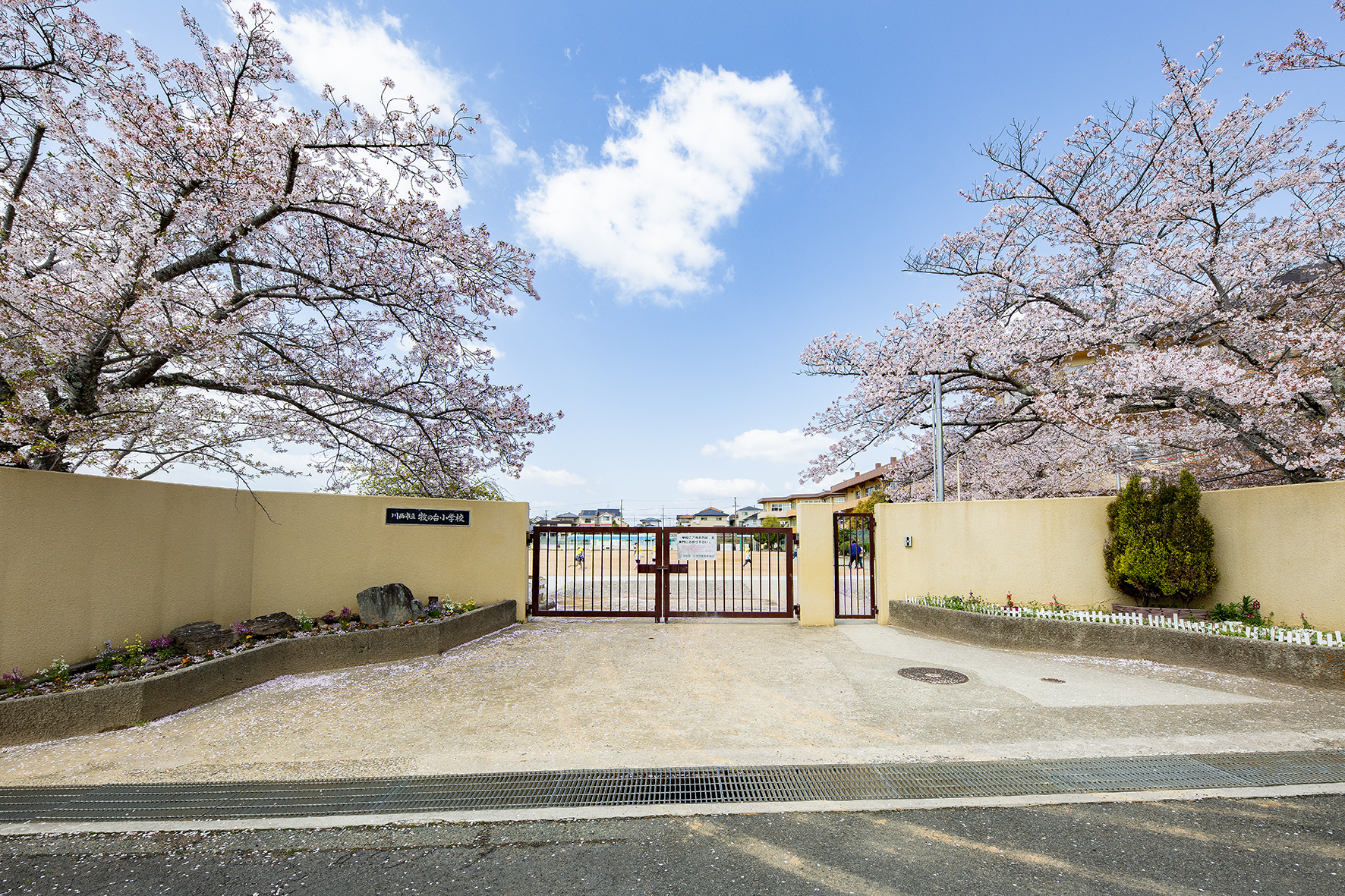 牧の台小学校（約1100m）
