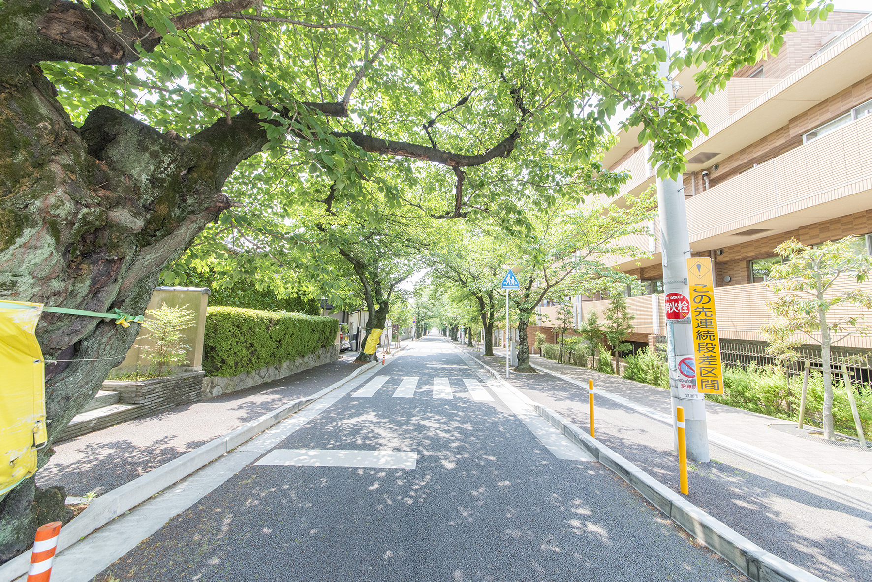 【予告広告】スマイルタウン箕面西少路