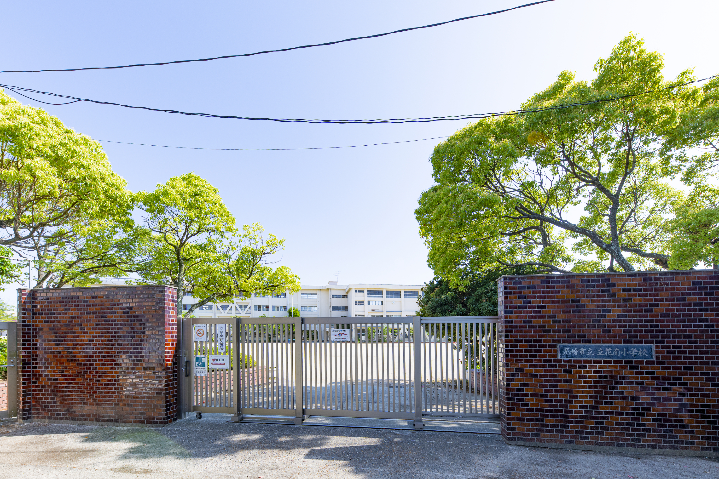 立花南小学校（約450m）