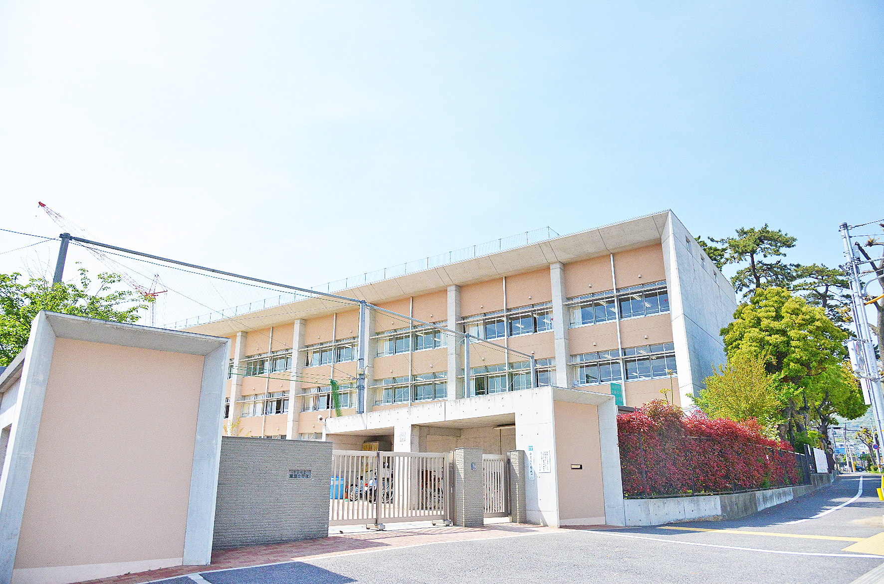 精道小学校（約300m）