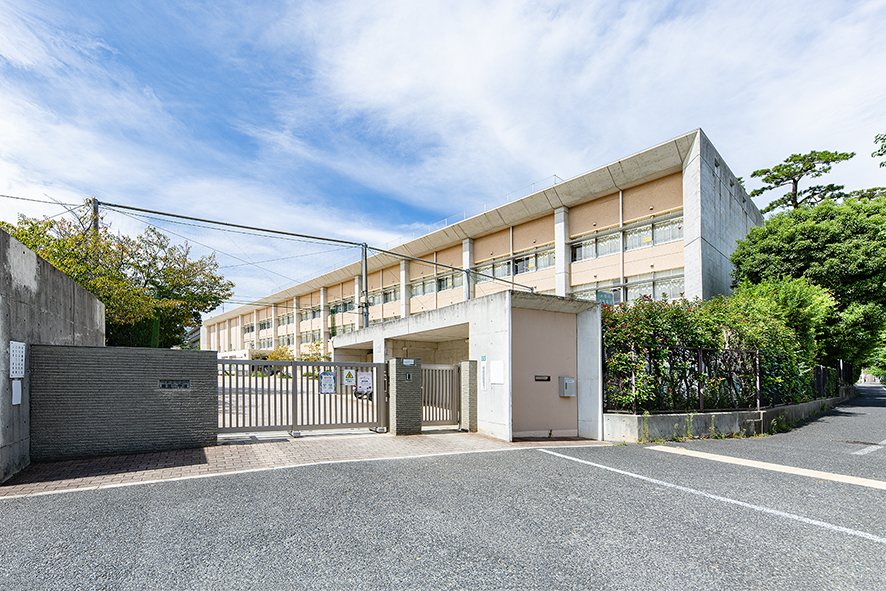 精道小学校（約800m）