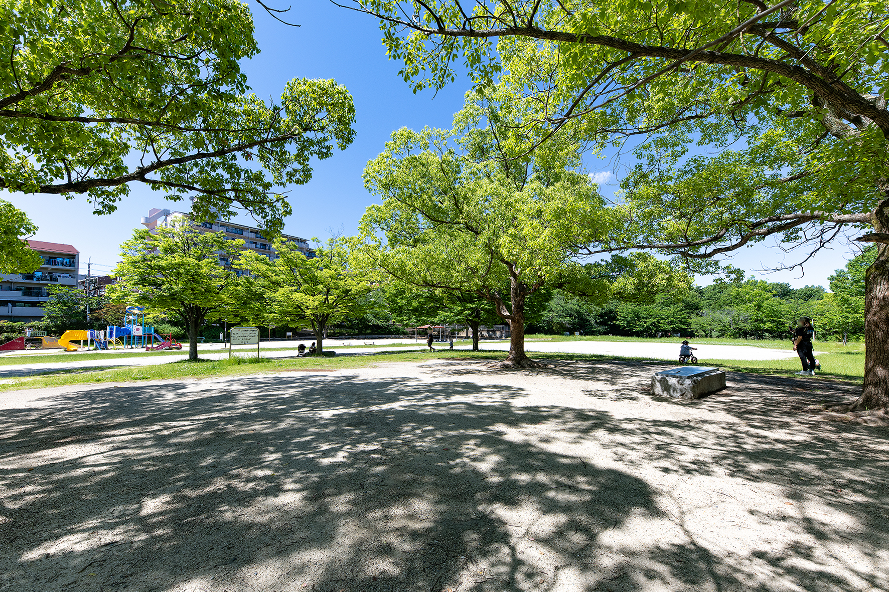 紫金山公園（約800ｍ）