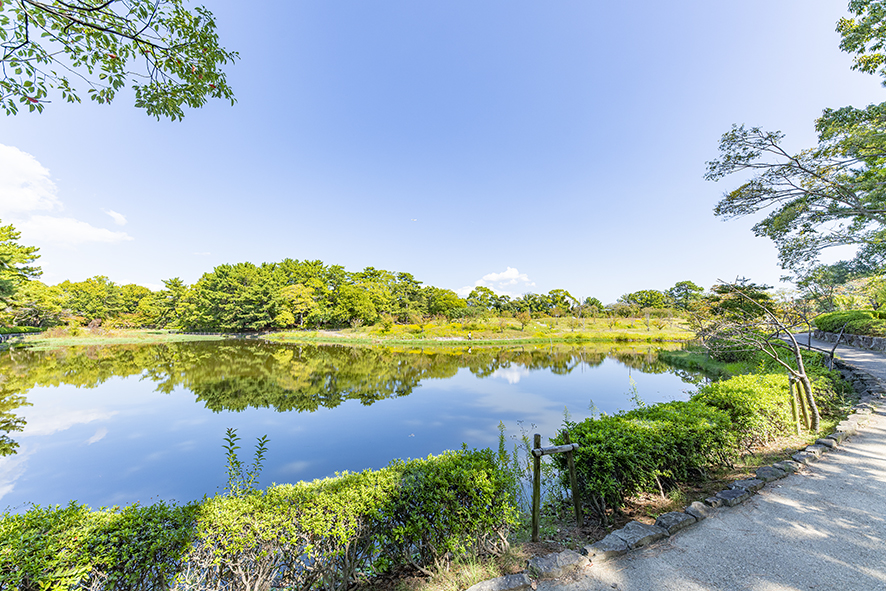 緑ヶ丘公園（約500m）
