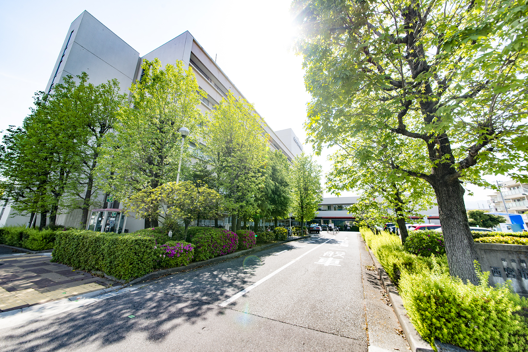 西宮市立中央病院（約700m）